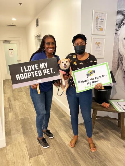 Two people holding a dog and two signs at the National Adoption Weekend