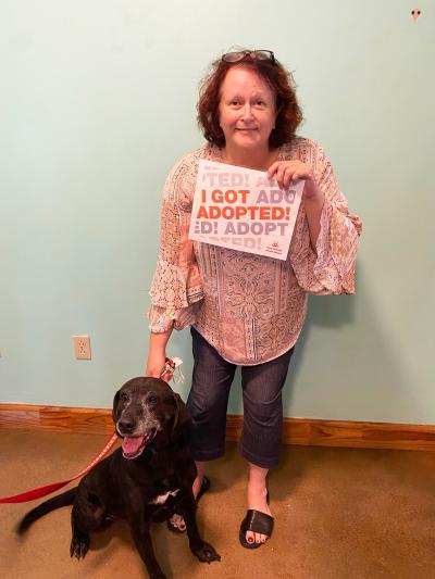 Victor the senior dog being adopted from Cabot Animal Support Services