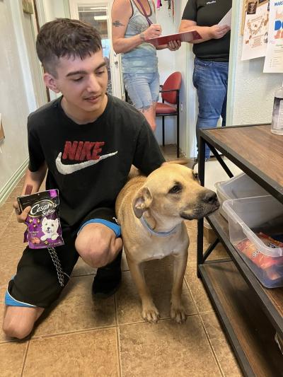 Blossom the dog being adopted
