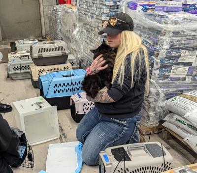 Person holding a cat among pet crates and palleted pet food