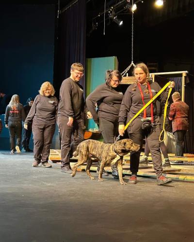 Scuba the dog on a leash participating in "The Play That Goes Wrong"