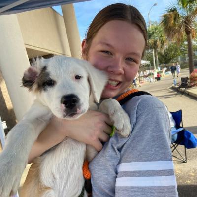 Person holding a white and brown puppy