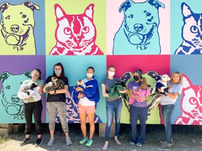 Group of people holding puppies standing in front of a painted mural on a wall featuring cats and dogs