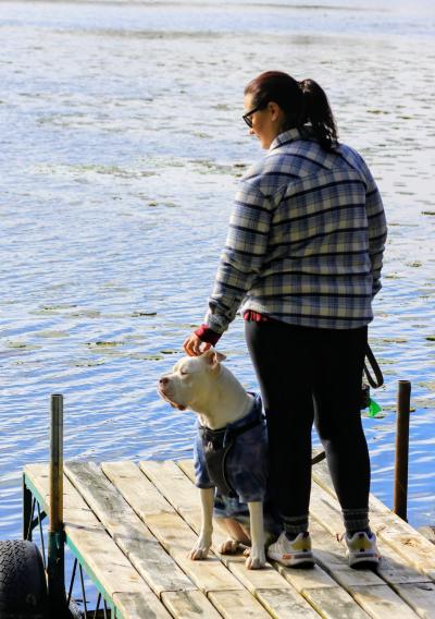 Person petting Beefcake the dog out on a wooden dock by water