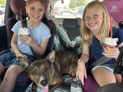 Blossom the dog sitting between two people in a vehicle holding cups of ice cream