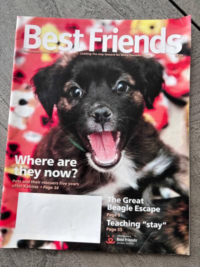 Emma the puppy on the cover of the Best Friends magazine