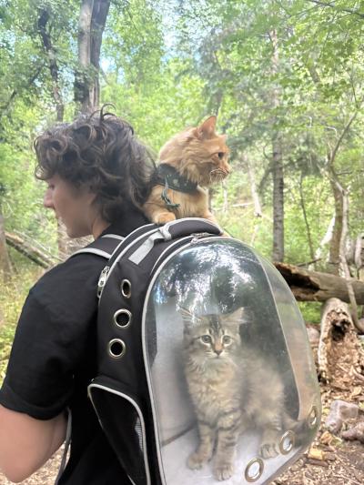 Jax with Moose and Fox the cats outside on a hike with a backpack