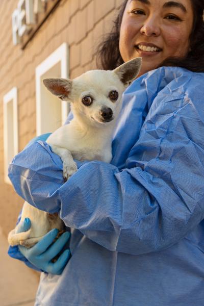 Wally the Girl, the dog, being held by a smiling person