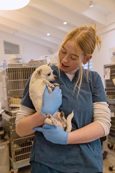 Person holding Wally the Girl the dog beside some kennels