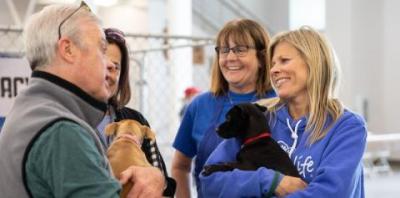 Group of four people holding puppies
