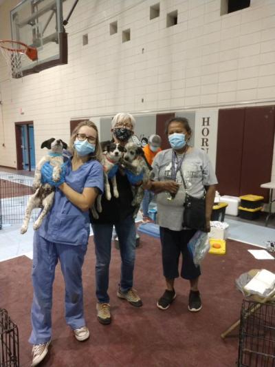 The team from the Navajo Nation clinic wearing masks and holding puppies