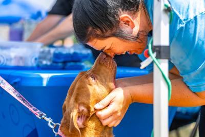 Person face-to-face with a brown dog at the Best Friends Super Adoption in Northwest Arkansas
