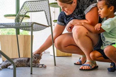 Adult and child interacting with a cat lying under a chair at the Best Friends Super Adoption in Northwest Arkansas