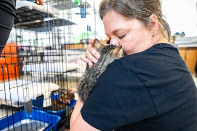 Person kissing a tabby kitten beside a kennel at the Best Friends Super Adoption in Northwest Arkansas