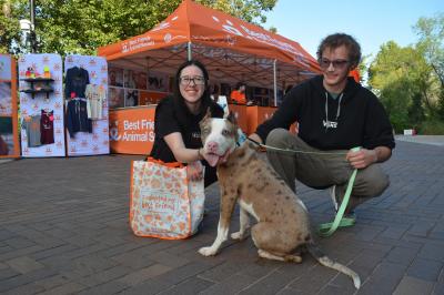 Pinky the dog with his adopters in front of a Best Friends booth at the Northwest Arkansas Super Adoption