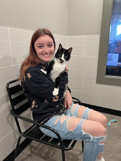 Person sitting on a chair holding Archer, the black and white cat