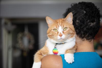 Person holding an orange and white cat over her shoulder