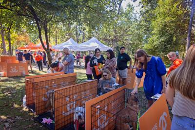 Dog adoption area at the Northwest Arkansas Super Adoption