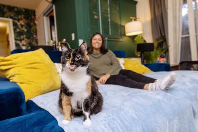 Calico cat sitting on a bed in front of a person
