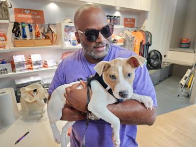 Adopter wearing sunglasses holding a small white and brown dog at the Best Friends Lifesaving Center in New York City