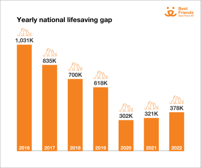 Yearly national lifesaving gap chart