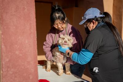 Two people assessing a small dog at a Navajo Nation mobile clinic