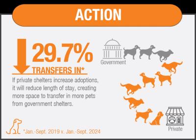 Action graphic from dataset noting transfers in is down by 29.7%
