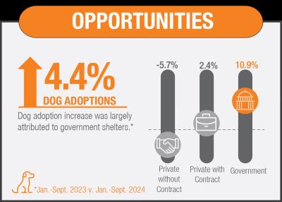 Opportunities graphic from dataset noting dog adoptions are up by 4.4%