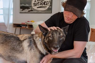 Person petting a shepherd-type dog