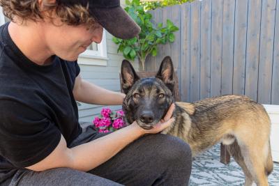 Person petting Nicky the dog