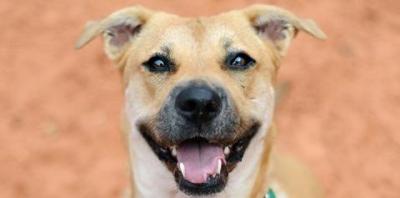 Why We Don’t (or Rarely) Use Punishment