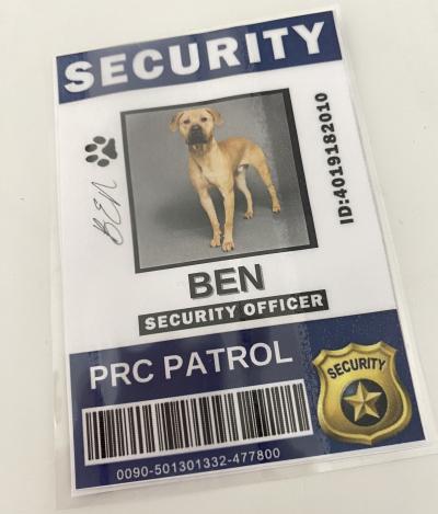 The laminated security nametag for Ben Security Office with a photo of the Ben the dog
