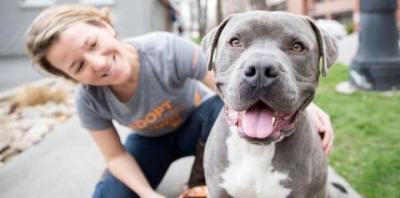 Woman kneeling next to gray pit bull
