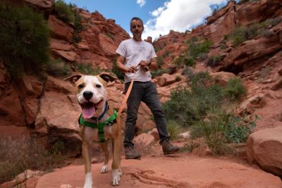 Person and dog on a hike on red rocks in Utah