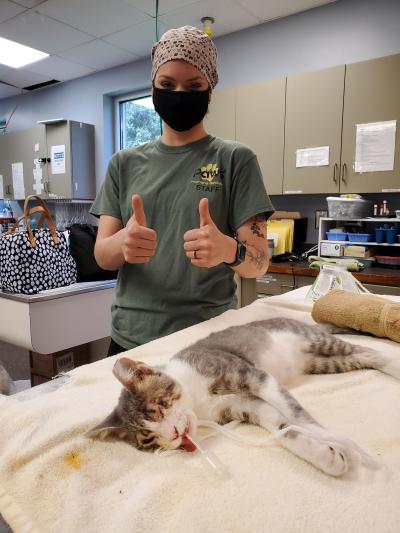 Medical person wearing a mask with both thumbs up behind an anesthetized cat lying on a towel-covered table