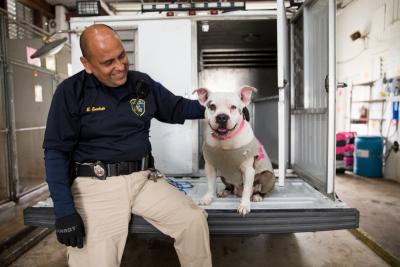 Animal services officer sitting and petting a dog on the back of a van.