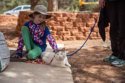 Child petting a cat who is outside walking on a leash
