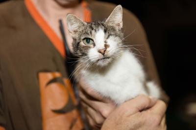 Person holding a one-eyed cat