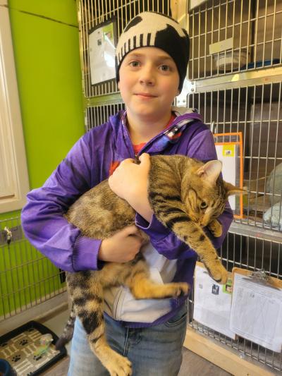 Young person holding a tabby cat in front of some kennels
