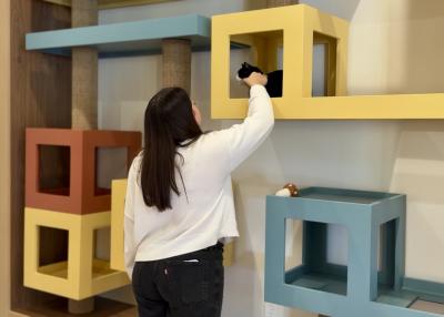 Person reaching up to pet a cat in a rectangular cubby