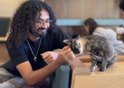 Smiling person petting the head of a cat leaning into the pet