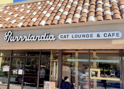 Exterior of Purrrlandia