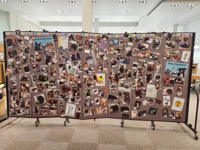 Wall of cat photos submitted to the library