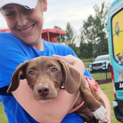 Smiling person holding a brown and white puppy