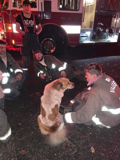Cooper the dog with fire department personnel