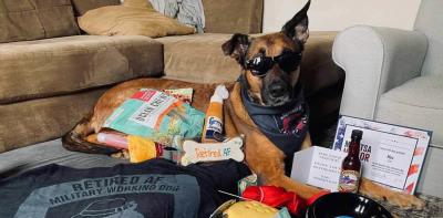 Retired military dog wearing sunglasses surrounded by toys and treats