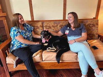 Scout the dog with his tongue out on a couch between two smiling people