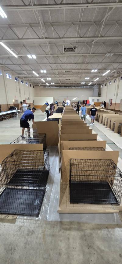 Wire crates with cardboard between them setup for the adoption event