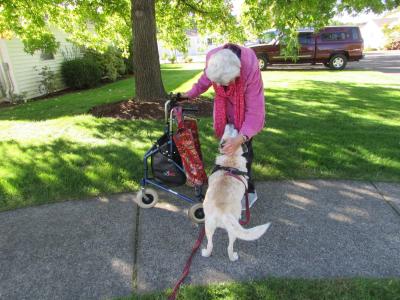 Person bending down to pet Raquel (now Poppy) the dog while outside on a sidewalk