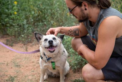 Person petting the head of Raquel the dog
